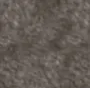 01 Castaño Cenizo