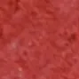 07 Coral