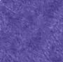 07 Violeta