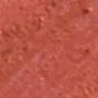 09 Salmon