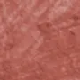 10 Rosa Palo