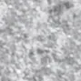 10 Silver