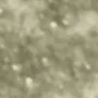 17 Champagne