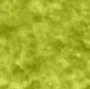 23 Lemon