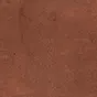 13 Safari